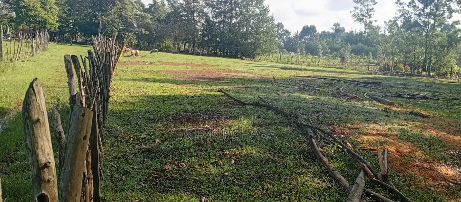 3 Plots for Sale in Ngeria Mugundoi Eldoret
