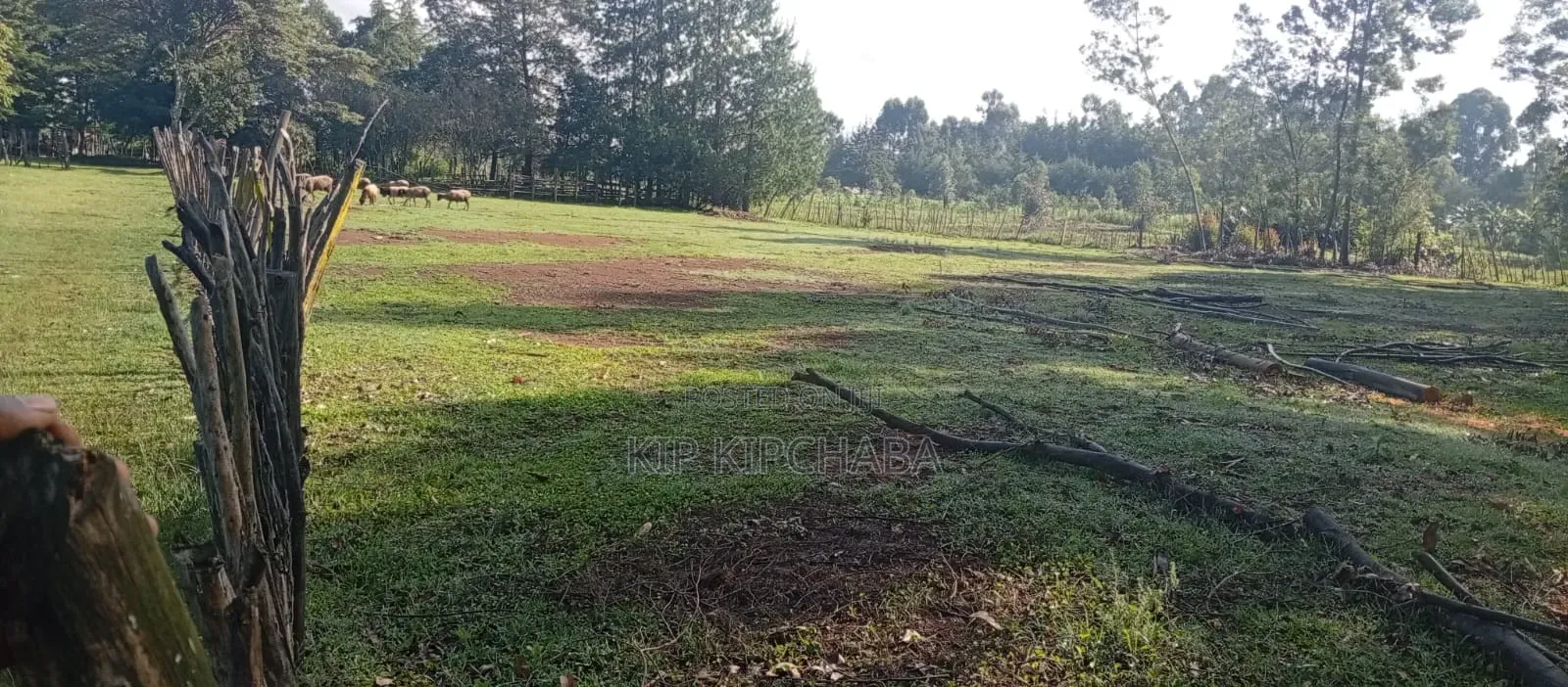 3 Plots for Sale in Ngeria Mugundoi Eldoret