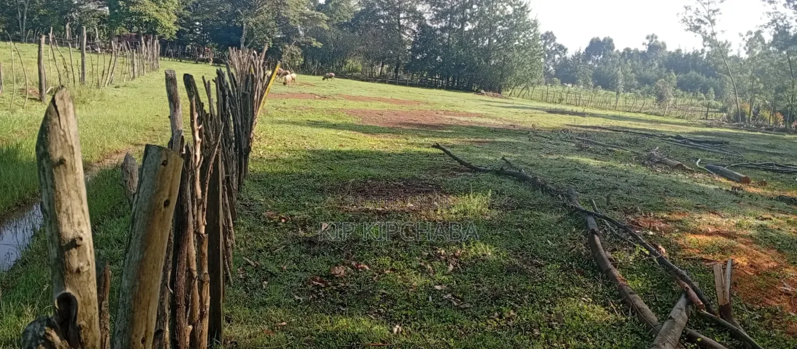 3 Plots for Sale in Ngeria Mugundoi Eldoret