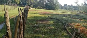 3 Plots for Sale in Ngeria Mugundoi Eldoret