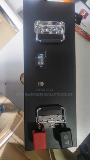 2.56kwh 100ah 25.6v Renergy Lithium Battery