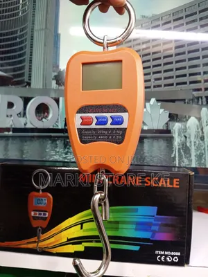 200 Kg Crane Scale/Mini Crane Scale Max 200kg