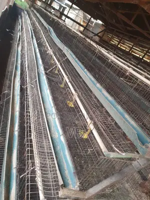 A Type 3 Tier 90 Capacity Chicken Cages