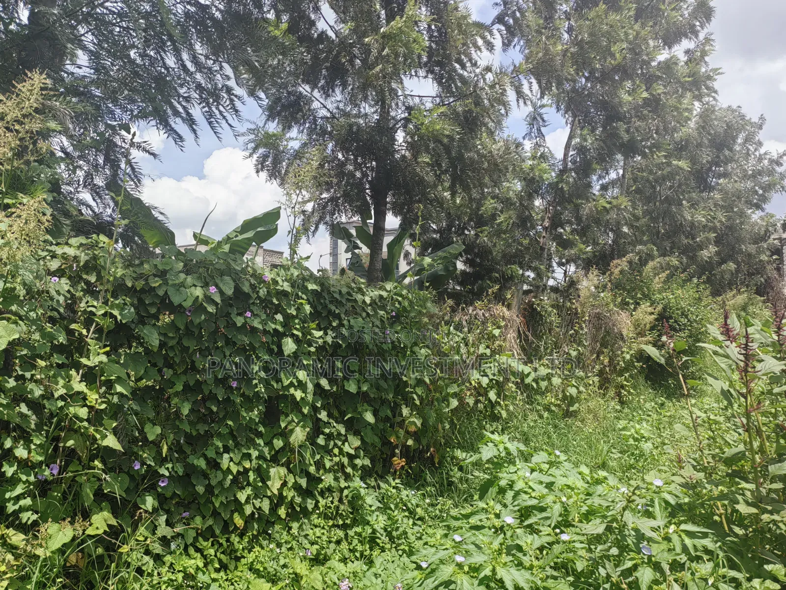 100by100 Plot for Sale in Ondiri Kikuyu Kiambu County.