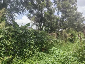 100by100 Plot for Sale in Ondiri Kikuyu Kiambu County.