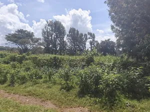 100by100 Plot for Sale in Ondiri Kikuyu Kiambu County.