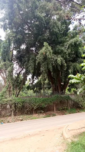 Kasarani- Safari Park, Prime Commercial 5 Acres on Sale