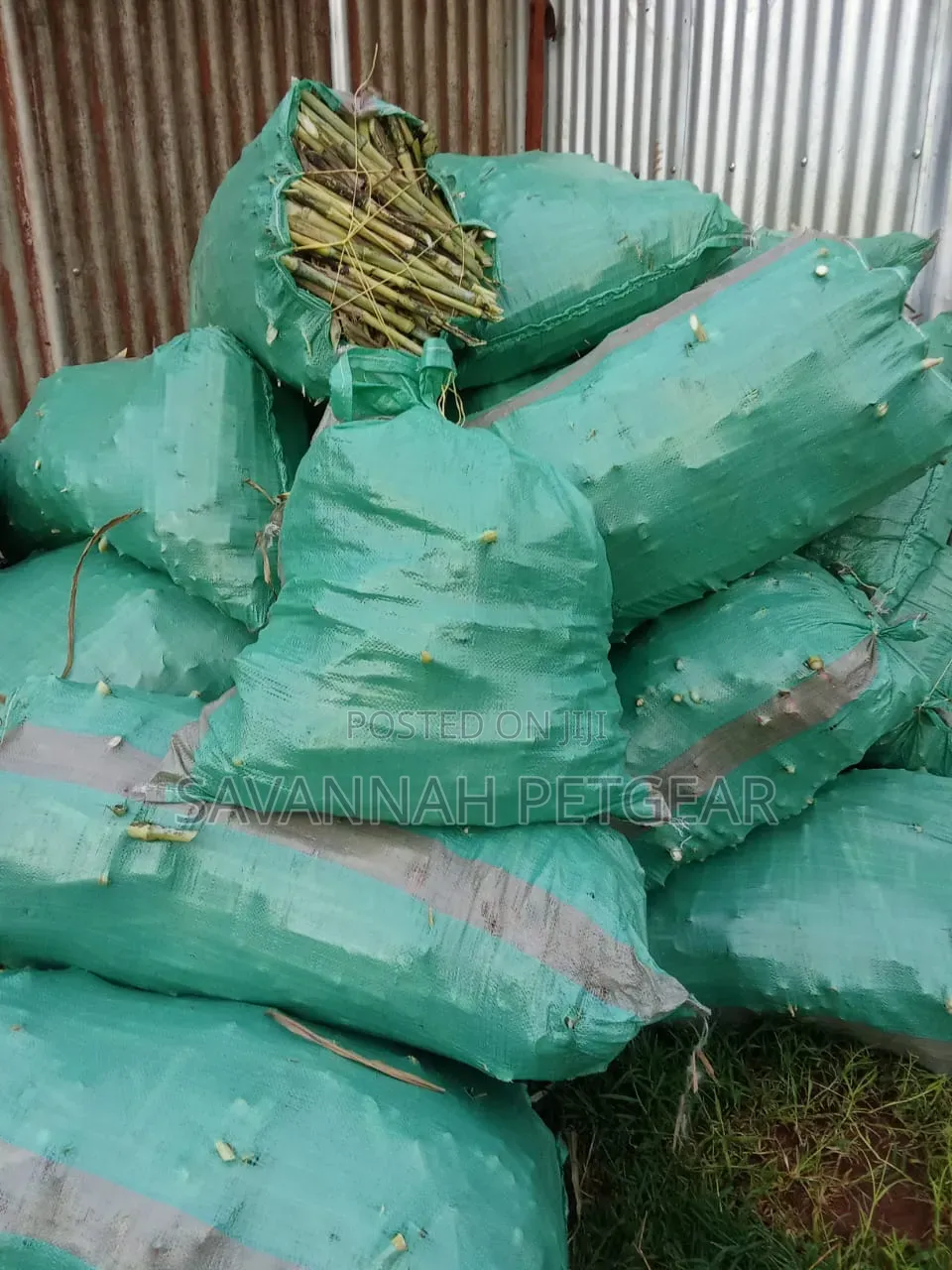 Juncao Grass Cuttings (High-Yield Livestock Fodder)