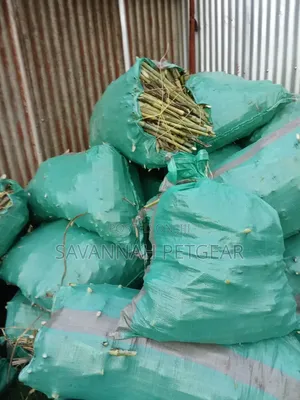 Juncao Grass Cuttings (High-Yield Livestock Fodder)