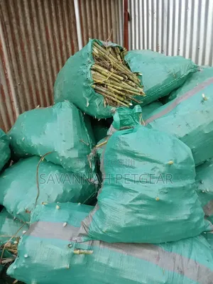 Juncao Grass Cuttings (High-Yield Livestock Fodder)