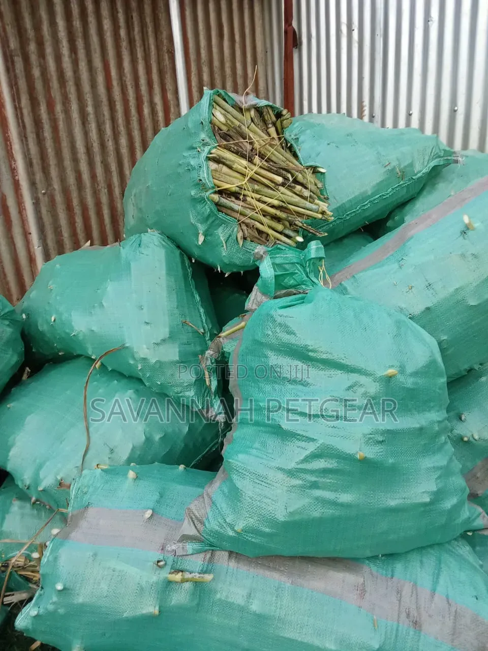 Juncao Grass Cuttings (High-Yield Livestock Fodder)