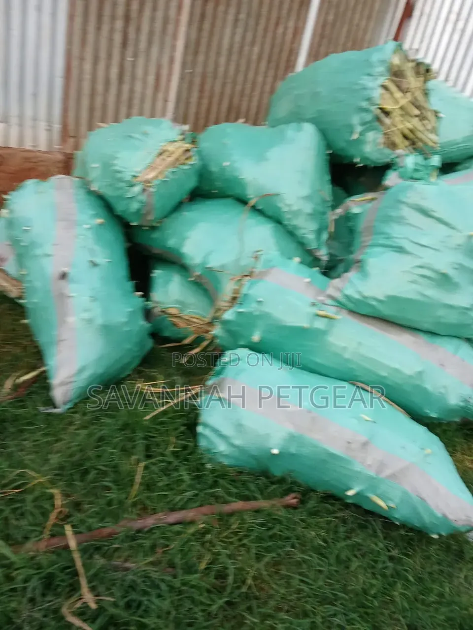 Juncao Grass Cuttings (High-Yield Livestock Fodder)