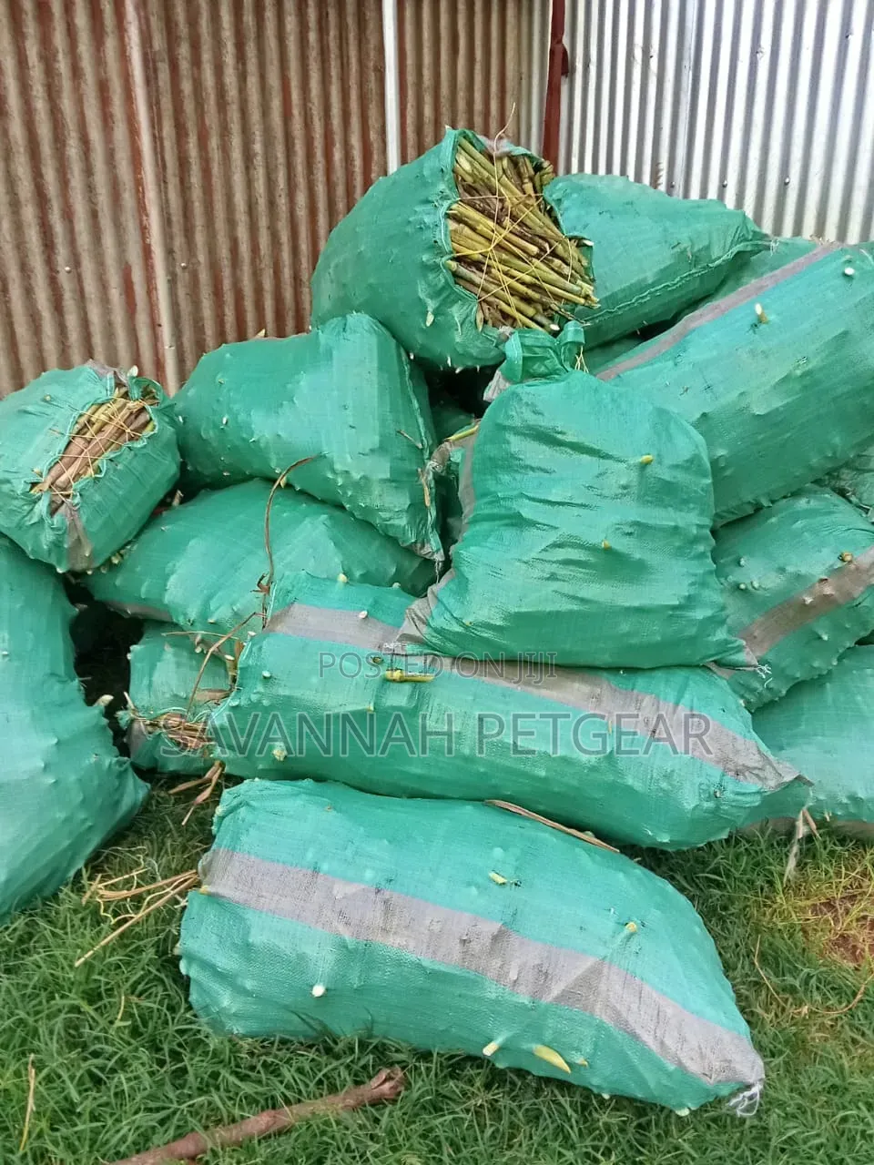 Juncao Grass Cuttings (High-Yield Livestock Fodder)