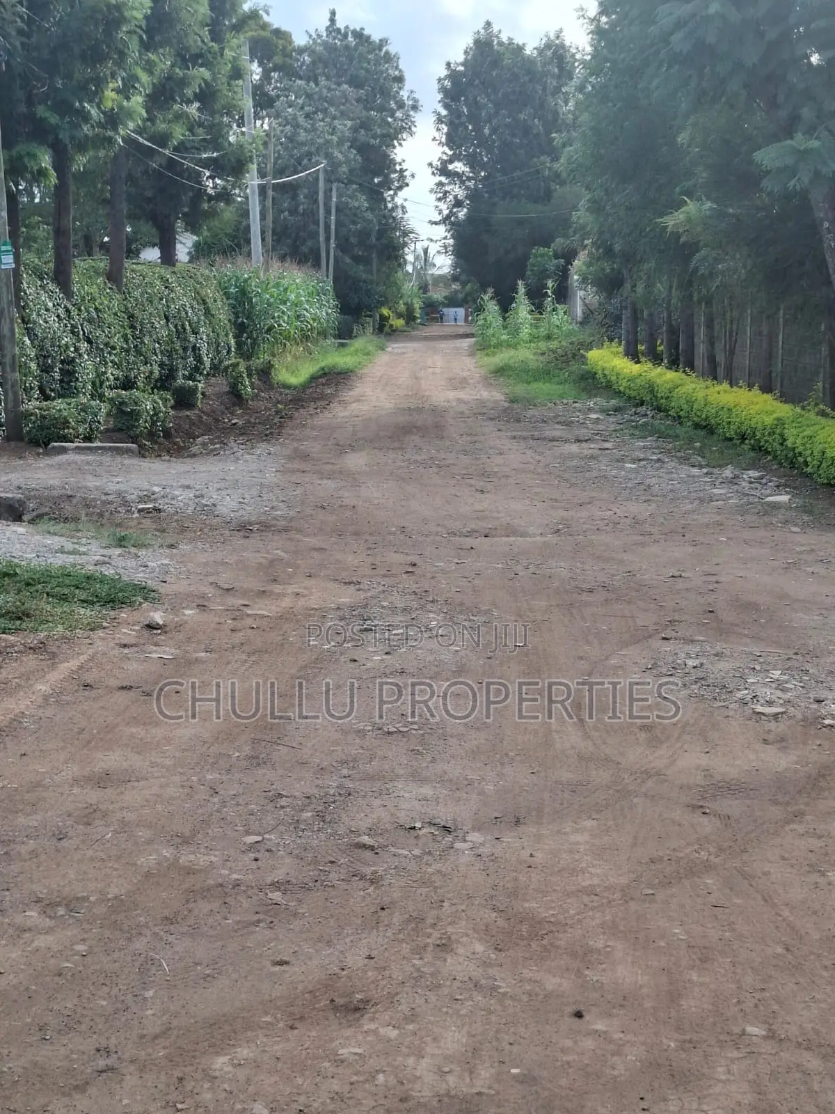 Prime Plot for Sale