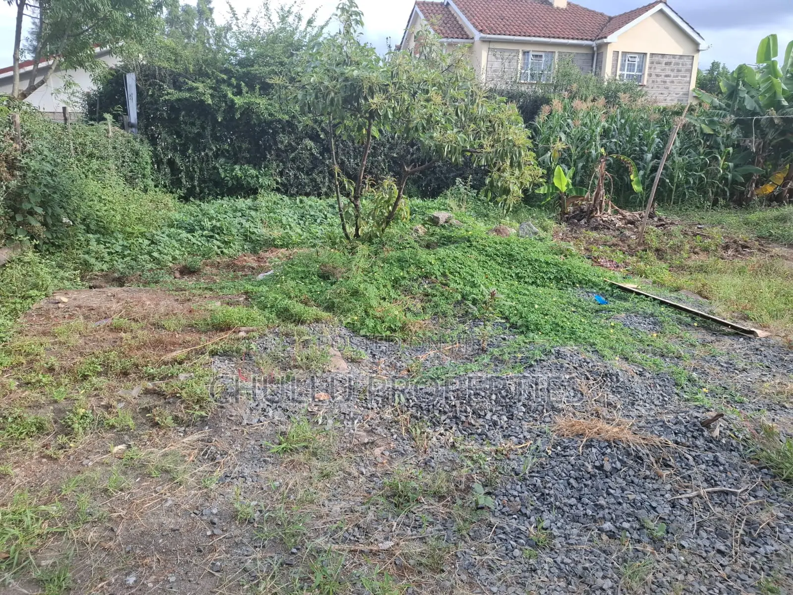 Prime Plot for Sale