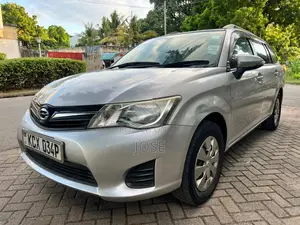 Toyota Corolla Fielder 2013 Silver