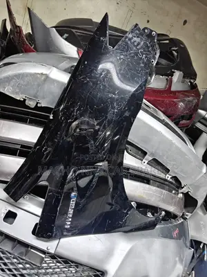Toyota Sai Fender /Wing