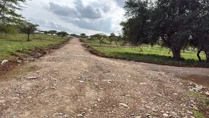 Prime 50x100 Plots in Kimuka-Ngong