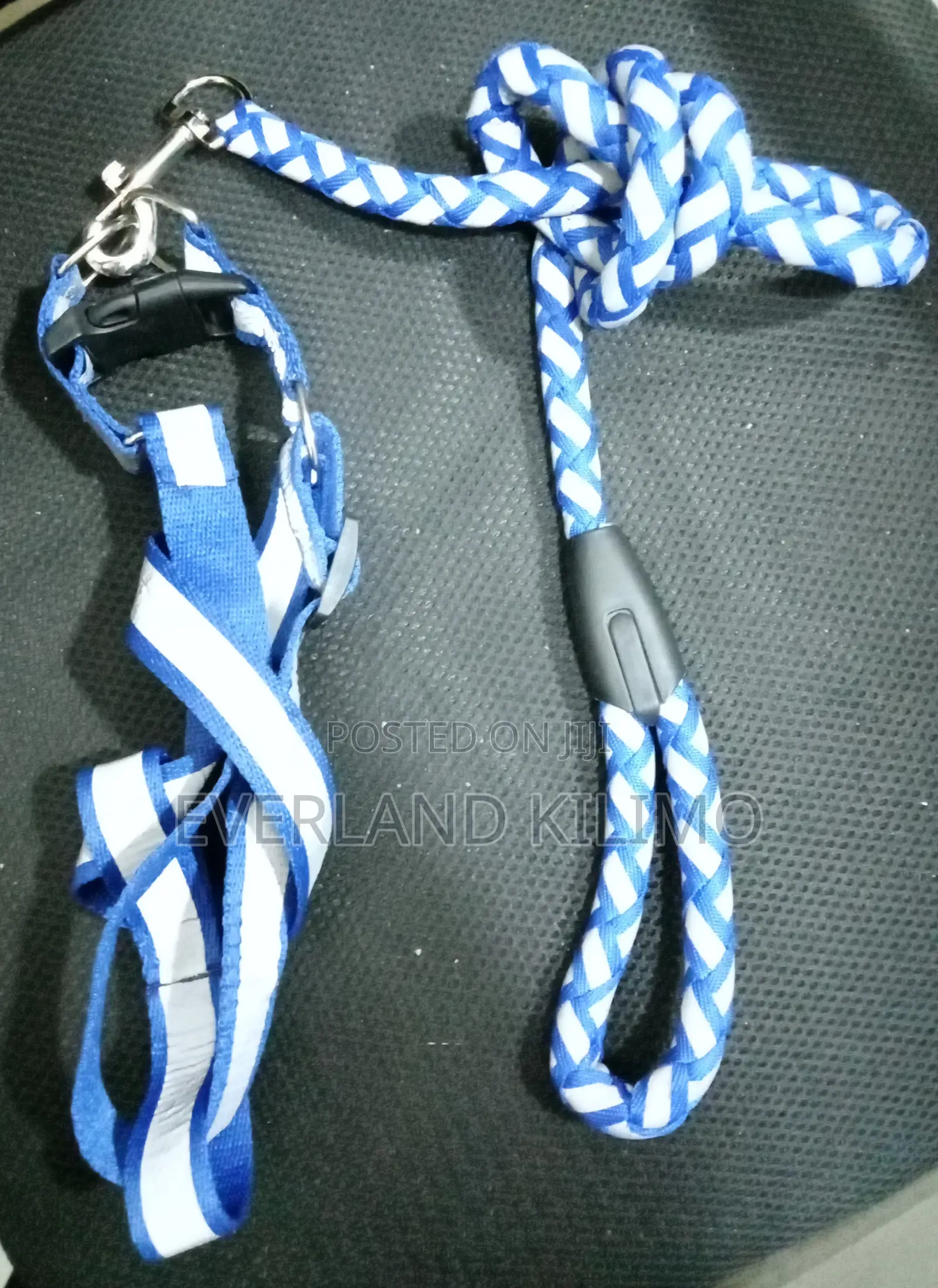Reflective Leash and Harness