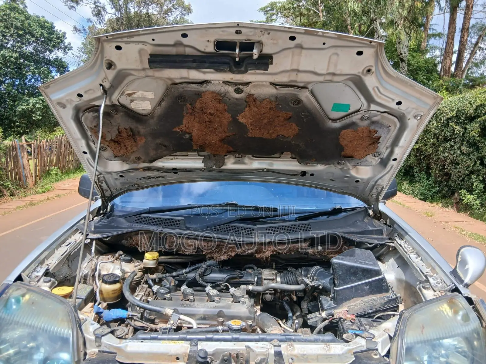 Nissan X-Trail 2005 Silver