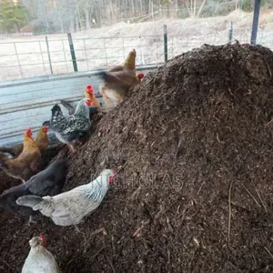 Organic Chicken Poultry Manure