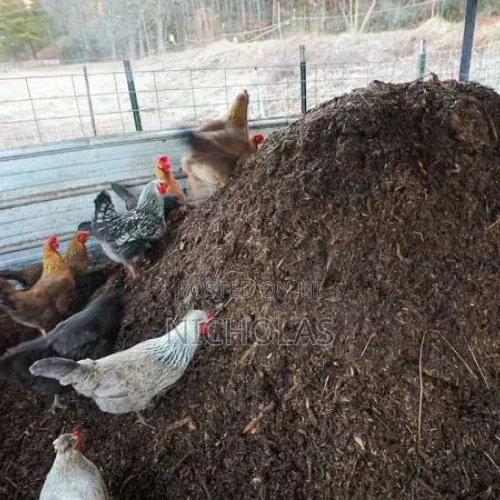 Organic Chicken Poultry Manure