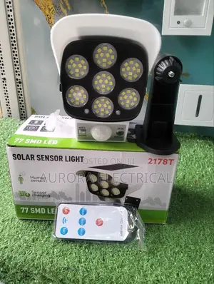 Solar Motion Sensor Light