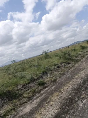 Mwalimu Farm Parcels and Prime Plots on Sales