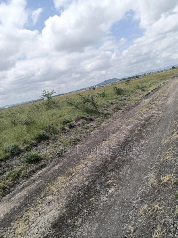 Mwalimu Farm Parcels and Prime Plots on Sales - thumbnail 2