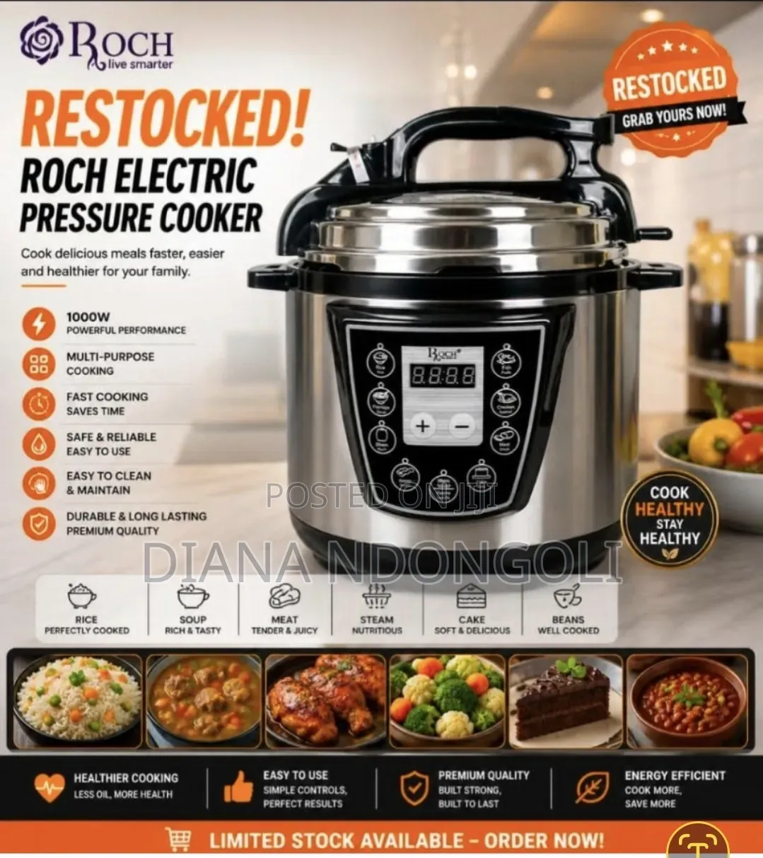 *Roch Electric Pressure Cooker*