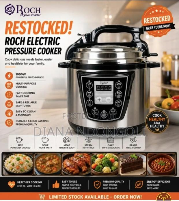*Roch Electric Pressure Cooker*