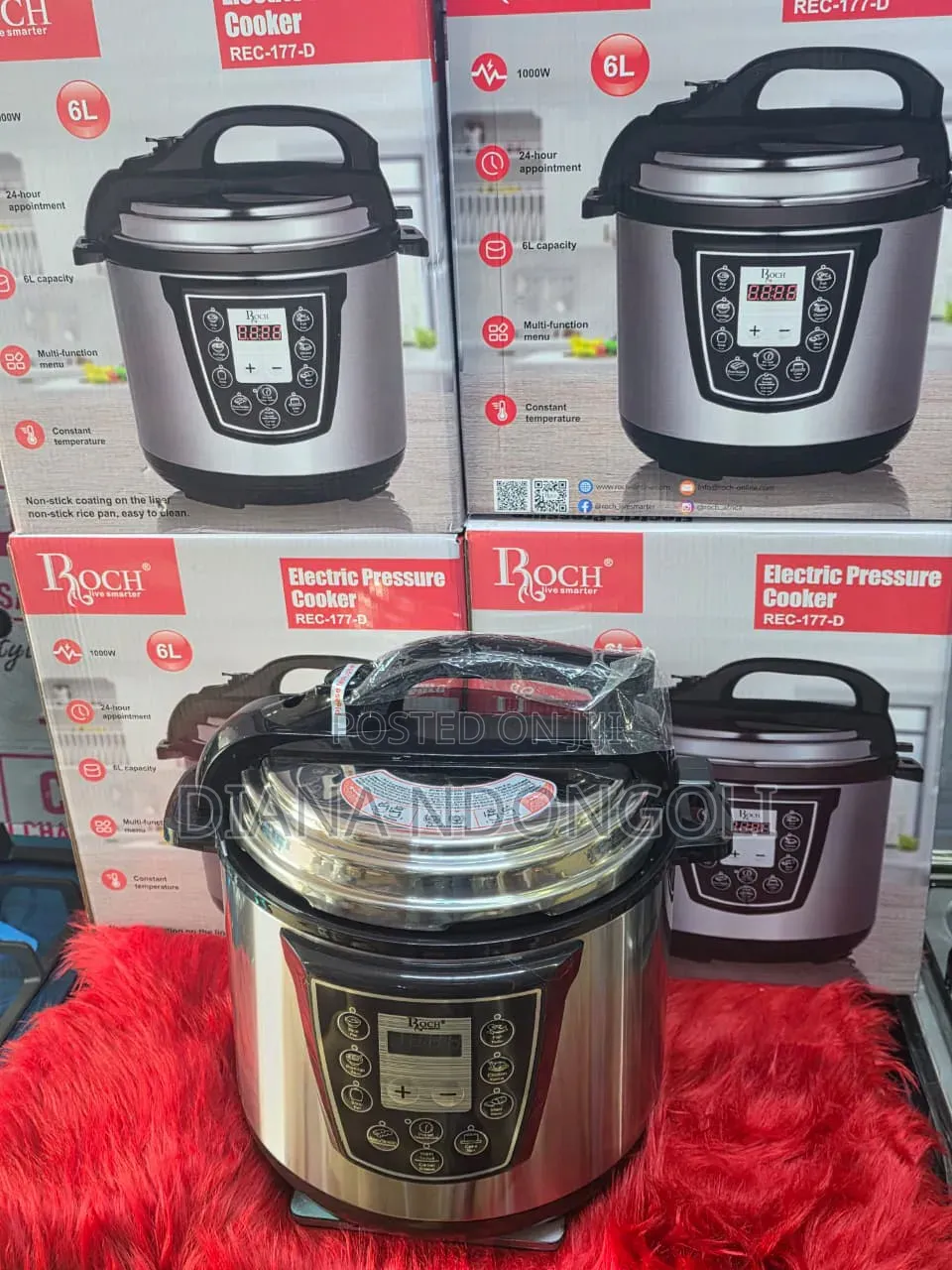 *Roch Electric Pressure Cooker*