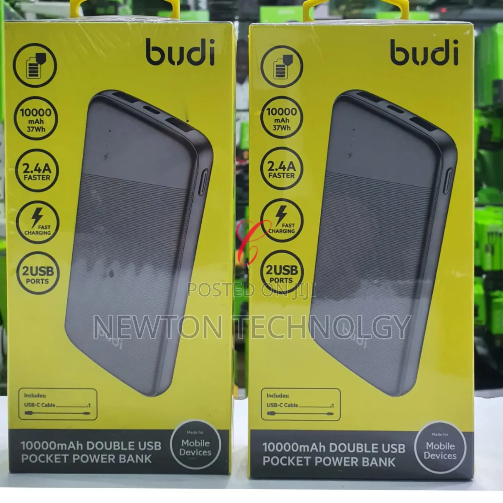 Budi Pb090b *10000mah* Double Usb Picket Power Bank