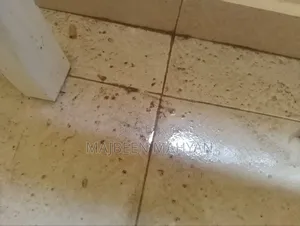 Arnold Pest Care