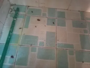 Arnold Pest Care