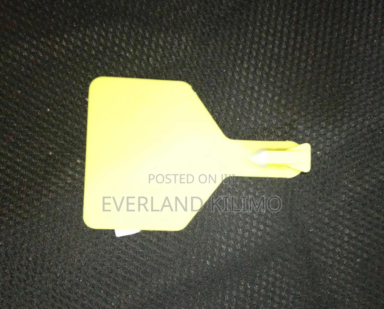 Plain Cows Z - Ear Tags