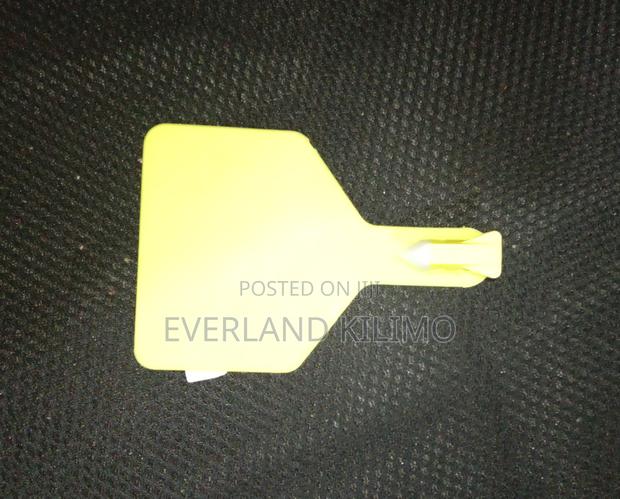 Plain Cows Z - Ear Tags - main view