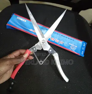 Narrow Wool Shears