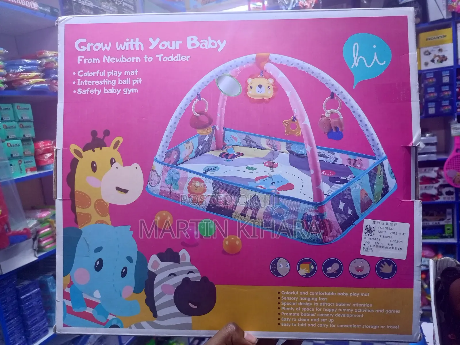 Activity Gym And Ball Pit