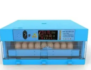 64 Eggs Incubator
