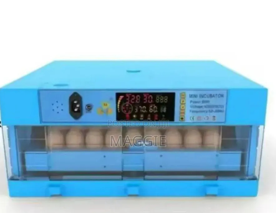 64 Eggs Incubator
