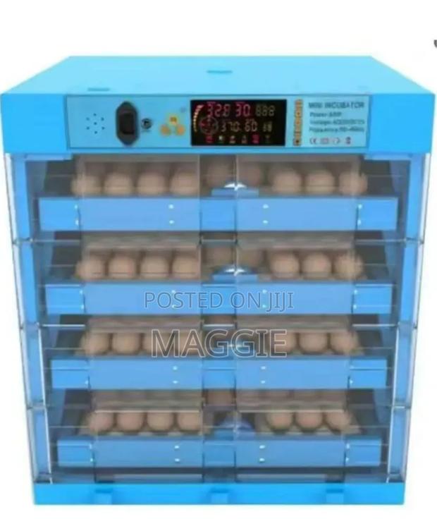 256 Eggs Incubator