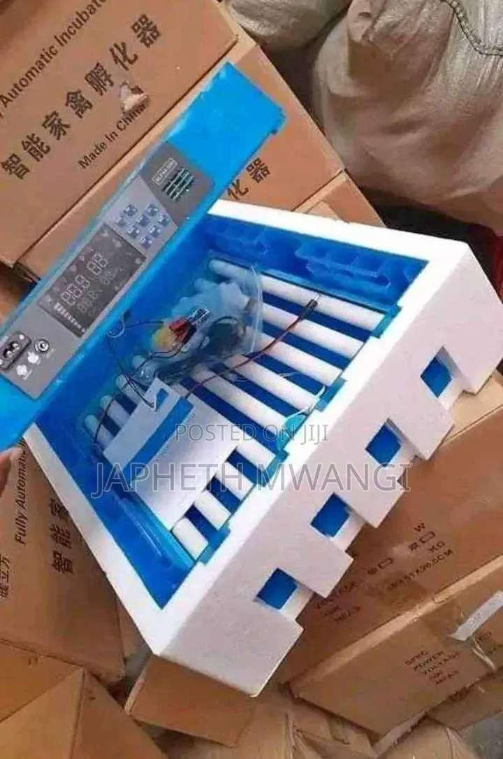 64 Eggs Incubators Machines