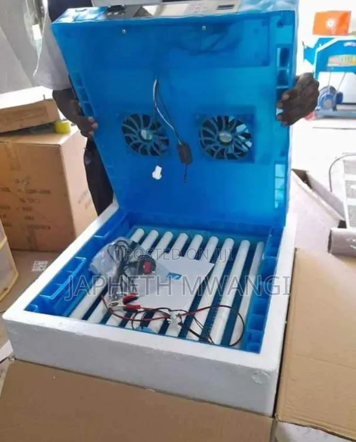 64 Eggs Incubators Machines