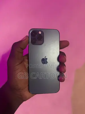 Apple iPhone 12 Pro 256 GB Blue