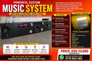 Pioneer Music System