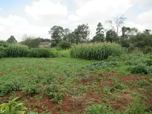 0.365-Acre Plot for Sale in Mushroom Gardens Estate