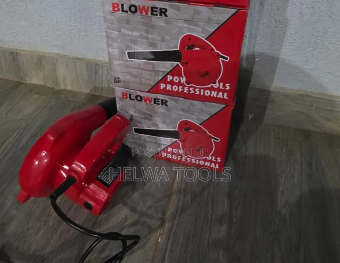 Blower/Professional Blower