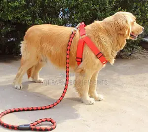 Dog Leashes Dog Vests