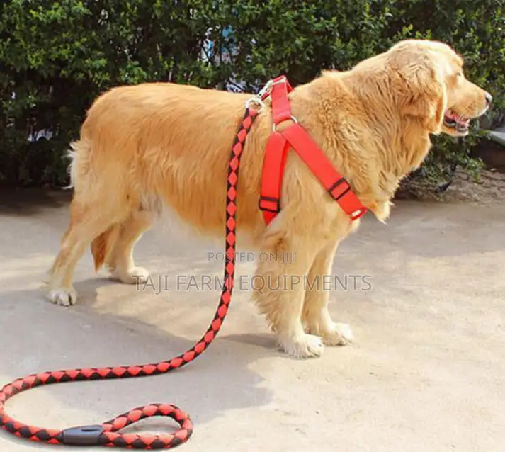 Dog Leashes Dog Vests